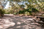 Rear view of sandy site 103 showing picnic table and wooden nestled under the shady live oak trees and maritime hammock in Anastasia State Park.
