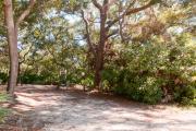 Frontal view of sandy site 103 showing picnic table and electric and water hookups with live oak trees nestled under shady maritime hammock in Anastasia State Park.