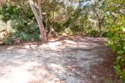 Side view of sandy site 103 showing picnic table with live oak trees nestled under shady maritime hammock in Anastasia State Park.