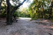 Rear view of sandy site 104 showing picnic table nestled under the shady live oak trees and maritime hammock in Anastasia State Park.