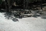 Side view of sandy site 104 showing picnic table with live oak trees nestled under shady maritime hammock in Anastasia State Park.