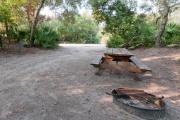 view of sandy site 105 showing picnic table, fire ring, and water hookup nestled under the shady live oak trees and maritime hammock in Anastasia State Park.