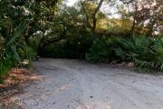 Frontal view of sandy site 105 showing picnic table and electric hookup with live oak trees nestled under shady maritime hammock in Anastasia State Park.