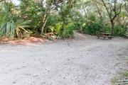 Side view of sandy site 105 showing picnic table with live oak trees nestled under shady maritime hammock in Anastasia State Park.