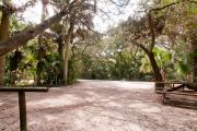 Rear view of sandy site 106 showing picnic table, wooden railings and electric and water hookups nestled under the shady live oak trees and maritime hammock in Anastasia State Park.