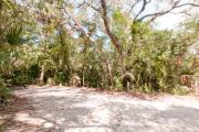Frontal view of sandy site 108 showing picnic table and electric and water hookups with live oak trees nestled under shady maritime hammock in Anastasia State Park.