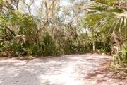 Side view of sandy site 108 showing picnic table and lantern post with live oak trees nestled under shady maritime hammock in Anastasia State Park.