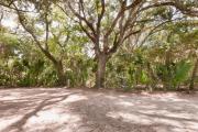 Side view of sandy site 109 showing electric and water hookups with live oak trees nestled under shady maritime hammock in Anastasia State Park.