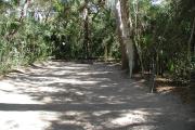 Frontal view of sandy site 110 showing picnic table, electric and water hookups and lantern post nestled under the shady live oak trees and maritime hammock in Anastasia State Park.