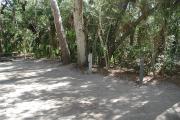 Side view of sandy site 110 showing picnic table and electric and water hookups with live oak trees nestled under shady maritime hammock in Anastasia State Park.