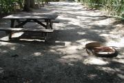 Rear view of sandy site 110 showing picnic table and fire ring with live oak trees nestled under shady maritime hammock in Anastasia State Park.