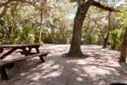 Rear view of sandy site 111 showing picnic table and fire ring nestled under the shady live oak trees and maritime hammock in Anastasia State Park.