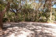 Frontal view of sandy site 111 showing picnic table and electric and water hookups with live oak trees nestled under shady maritime hammock in Anastasia State Park.