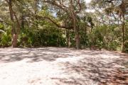 Side view of sandy site 111 showing picnic table and fire ring with live oak trees nestled under shady maritime hammock in Anastasia State Park.
