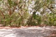 Side view of sandy site 112 showing picnic table with live oak trees nestled under shady maritime hammock in Anastasia State Park.