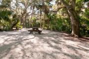 Rear view of sandy site 114 showing picnic table nestled under the shady live oak trees and maritime hammock in Anastasia State Park