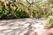 Side view of sandy site 114 showing picnic table with live oak trees nestled under shady maritime hammock in Anastasia State Park