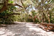 Rear view of sandy site 115 showing picnic table nestled under the shady live oak trees and maritime hammock in Anastasia State Park.