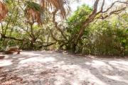 Frontal view of sandy site 115 showing picnic table and electric and water hookups with live oak trees nestled under shady maritime hammock in Anastasia State Park.