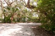 Side view of sandy site 115 showing picnic table and lantern post with live oak trees nestled under shady maritime hammock in Anastasia State Park.