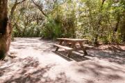 Rear view of sandy site 116 showing picnic table nestled under the shady live oak trees and maritime hammock in Anastasia State Park.