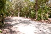 Frontal view of sandy site 116 showing picnic table and electric and water hookups with live oak trees nestled under shady maritime hammock in Anastasia State Park.