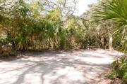 Side view of sandy site 116 showing picnic table with live oak trees nestled under shady maritime hammock in Anastasia State Park.