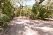 Frontal view of sandy site 117 showing picnic table and electric and water hookups with live oak trees nestled under shady maritime hammock in Anastasia State Park.