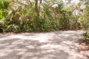Side view of sandy site 117 showing picnic table, fire ring and lantern post with live oak trees nestled under shady maritime hammock in Anastasia State Park.