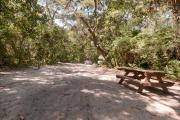 Rear view of sandy site 119 showing picnic table nestled under the shady live oak trees and maritime hammock in Anastasia State Park.