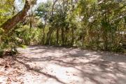 Side view of sandy site 119 showing electric and water hookups with live oak trees nestled under shady maritime hammock in Anastasia State Park.