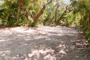 Frontal view of sandy site 119 showing picnic table and fire ring with live oak trees nestled under shady maritime hammock in Anastasia State Park.