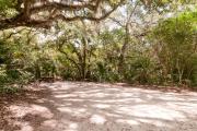 Frontal view of sandy site 123 showing picnic table and electric and water hookups nestled under the shady live oak trees and maritime hammock in Anastasia State Park.