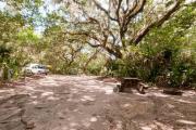 Rear view of sandy site 123 showing picnic table and fire ring with live oak trees nestled under shady maritime hammock in Anastasia State Park.