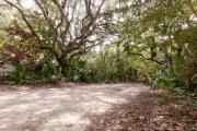 Side view of sandy site 123 showing picnic table and electric hookup with live oak trees nestled under shady maritime hammock in Anastasia State Park.