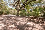 Rear view of sandy site 124 showing picnic table nestled under the shady live oak trees and maritime hammock in Anastasia State Park.