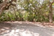 Frontal view of sandy site 124 showing picnic table and electric and water hookups with live oak trees nestled under shady maritime hammock in Anastasia State Park.