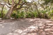 Side view of sandy site 124 showing picnic table, fire ring and lantern post with live oak trees nestled under shady maritime hammock in Anastasia State Park.