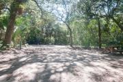 Rear view of sandy site 121 showing picnic table nestled under the shady live oak trees and maritime hammock in Anastasia State Park.