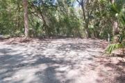 Frontal view of sandy site 121 showing picnic table and electric hookup with live oak trees nestled under shady maritime hammock in Anastasia State Park.