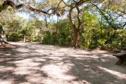 Rear view of sandy site 126 showing picnic table nestled under the shady live oak trees and maritime hammock in Anastasia State Park.
