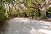 Frontal view of sandy site 126 showing electric and water hookups with live oak trees nestled under shady maritime hammock in Anastasia State Park.