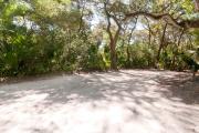 Frontal view of sandy site 126 showing picnic table and electric hookup with live oak trees nestled under shady maritime hammock in Anastasia State Park.