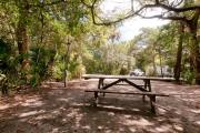 Rear view of sandy site 128 showing picnic table and electric and water hookups nestled under the shady live oak trees and maritime hammock in Anastasia State Park.