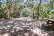 Rear view of sandy site 129 showing picnic table and electric and water hookups nestled under the shady live oak trees and maritime hammock in Anastasia State Park.
