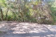 Side view of sandy site 129 showing electric and water hookups with live oak trees nestled under shady maritime hammock in Anastasia State Park.