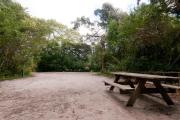 Rear view of sandy site 130 showing picnic table nestled under the shady live oak trees and maritime hammock in Anastasia State Park.