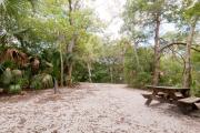 Rear view of sandy site 131 showing picnic table and water hookup nestled under the shady live oak trees and maritime hammock in Anastasia State Park.
