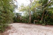 Frontal view of sandy site 131 showing picnic table and electric and water hookups with live oak trees nestled under shady maritime hammock in Anastasia State Park.