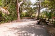 Rear view of paved site 133 showing picnic table nestled under the shady live oak trees and maritime hammock in Anastasia State Park.